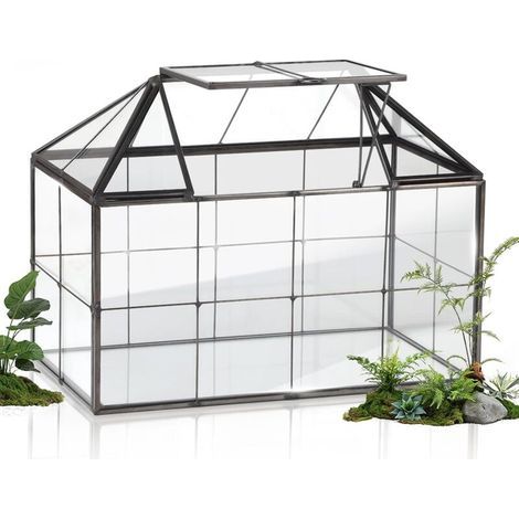 Mini Jardinière Terrarium Plante 23,3 x 13,6 x 18 cm, Miniature Serre Interieur Forme de Maison Idéal pour Succulentes Cactus et DIY (sans Plantes) (1/5)