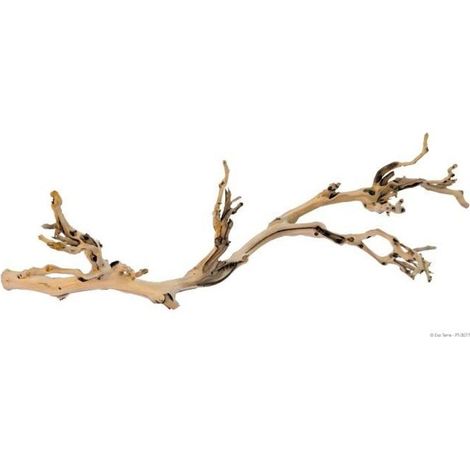 EXO TERRA Décoration Pied de vigne sablé - Grand modèle - Pour terrarium