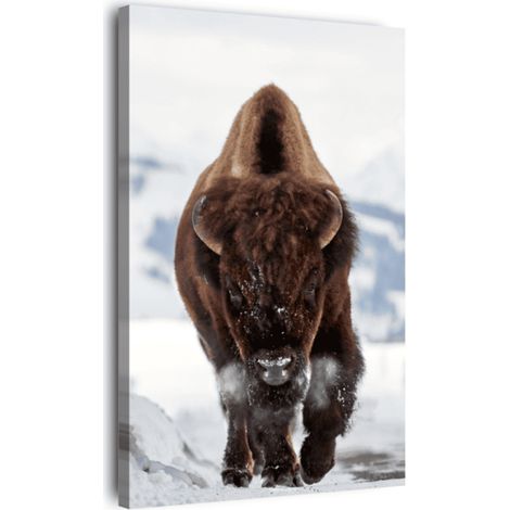 Tableau sur toile bison 30x45 cm - Impression sur Toile Murale Décorative - Image imprimée en HD sur Toile - Toile sur Châssis en Bois FSC - Fabriqué en France (1/5)