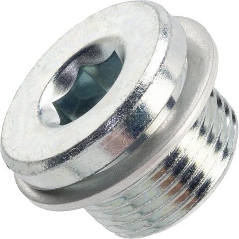 Bouchon de vidange carter d'huile M22x1.5 avec bague d'étanchéité compatible avec OEM N10037105 / 031125 (1/4)