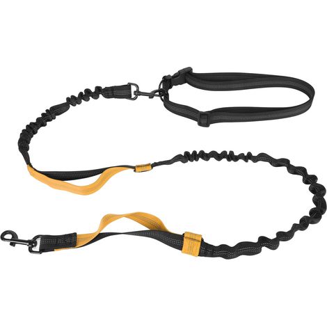 Laisse élastique robuste pour chien, corde élastique absorbant les chocs avec 2 poignées rembourrées pour grands chiens, entraînement à la marche, Orange (1/5)