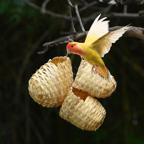 Heiß begehrtes, handgefertigtes Bambus-Vogelnest mit Haken, Dekoration im rustikalen Stil, schnell vergriffen