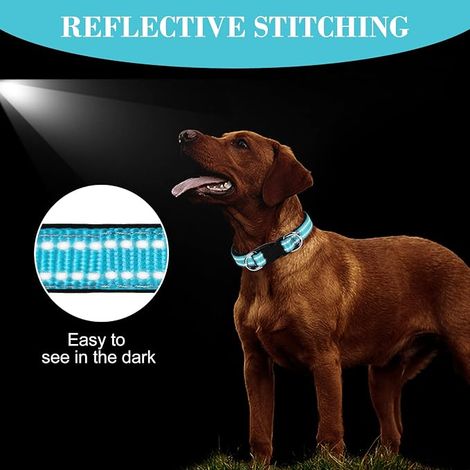 AUAUY Collier pour Chien, Collier en Nylon Réfléchissant Réglable Classique avec Rembourré Doux Respirant Mesh, Collier avec Étui AirTag pour Petits Chiens, Moyen Gros, Grand Chiens(Bleu-S) (1/4)