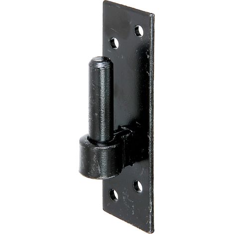 Punti metallici neri su piastra 14/130x40 mm Alberts