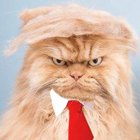 Costume de Président pour Chien et Chat Perruque Blonde et Cravate Rouge pour Animaux de Compagnie Déguisement Drôle pour Halloween Noël et Fêtes (1/5)