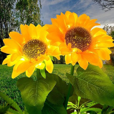 Solar-Gartenleuchten mit Sonnenblumen, 2er-Pack, wasserdicht (IP65), für Garten und Terrasse (1/5)