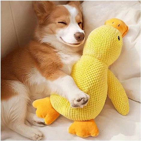 35 cm Grand Jouet en Peluche pour Chien – Canard couineur – Doux et résistant, adapté aux Chiens de Toutes Tailles (Petit, Moyen, (1/5)