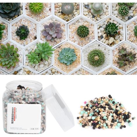Engrais granulaire organique pour plantes succulentes, arbres à fleurs en pot et plantes vertes (1/5)