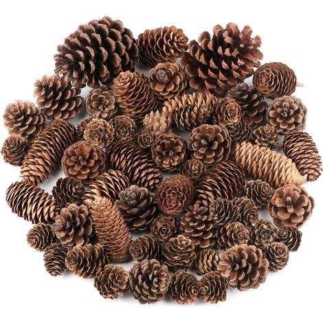 Pine Cones - 60 Pack - Natural Bulk Package, Large, Medium and Mini - Rustic Pine Cones Decorations for Table Christmas Tree Crafts Gifts (1/5)