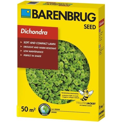BARENBRUG SEMENTI PRATO DICHONDRA perenne Prato compatto soffice 500G