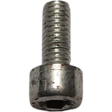 Tornillo Hexagonal compatible con Zlome06  Ref 919258