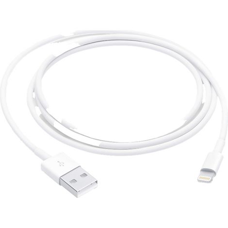 Apple USB-Kabel B-Ware (beschädigte / fehlende Verpackung) USB 2.0 USB-A Stecker, Apple Lightning St (1/5)