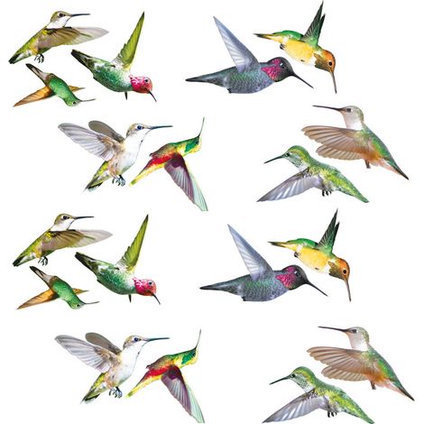 2 jeux d'autocollants colibris pour grilles de fenêtre électrostatiques anti-collision, autocollants d'avertissement anti-collision d'oiseaux en 3D.