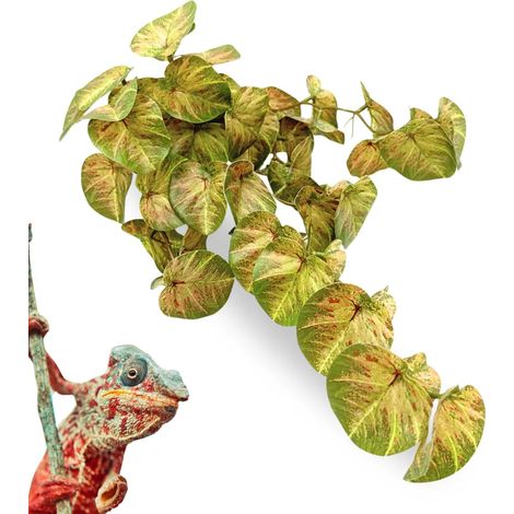 BioBush n° 8, plante tropicale artificielle pour terrariums, Pilea (1/5)