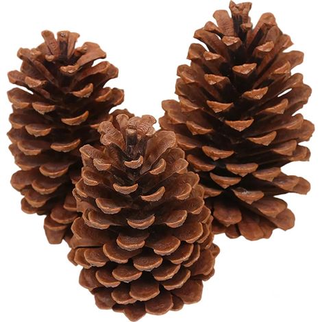Pinecone - Natural Dried Pine Cones - For DIY Crafts Home Decor Fall Christmas Thanksgiving - 24 Pieces (1/5)