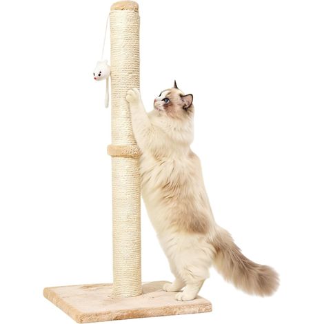 Arbre À Chat, 30 X 30 X 64 Cm Griffoir pour Chat D'intérieur avec Boule De Suspension, Poteau À Griffer, Corde en Sisal, Beige Marron Poteaux Griffoir pour Aux Chatons Et Aux Petits Chats (1/5)