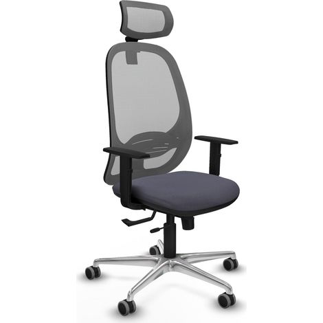 Ergonomischer Stuhl piqueras y crespo Cilanco grau fester Rücken (1/2)