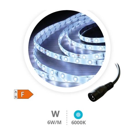 Rollo 5M tira LED 6W/M 6000-6500K 24V