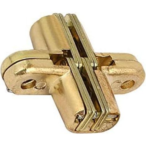 Bisagra oculta, 1 bisagra invisible de puerta en cruz de 180 grados en aleación de zinc dorado. (1/4)