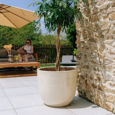 Maceta LANCELOT 57x50cm perla (1/3)