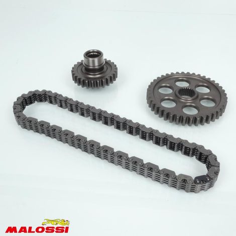 malossi-getriebe-hinterachse für roller yamaha 500 tmax 2001 bis