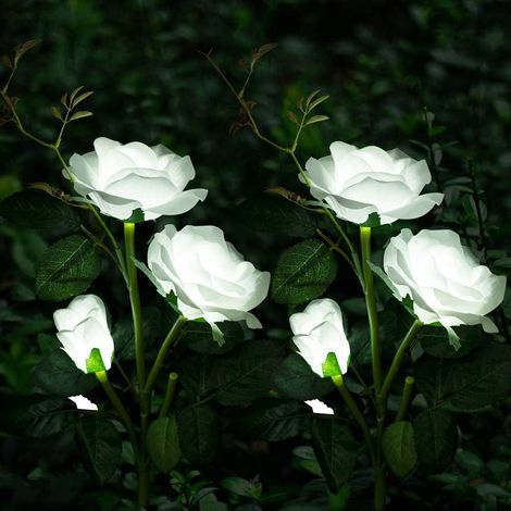 2 x lampes solaires d'extérieur, fleur de rose solaire pour jardin, lampe solaire étanche pour balcon, allée de jardin, bac de balcon, jardinière et décoration de terrasse (blanc) (1/5)