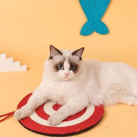 Planche à gratter pour chat,Tapis Griffoir pour Chat Tapis en sisal Tapis anti-rayures EVA anti-dérapant chat jouet protection canapé meubles (1/5)