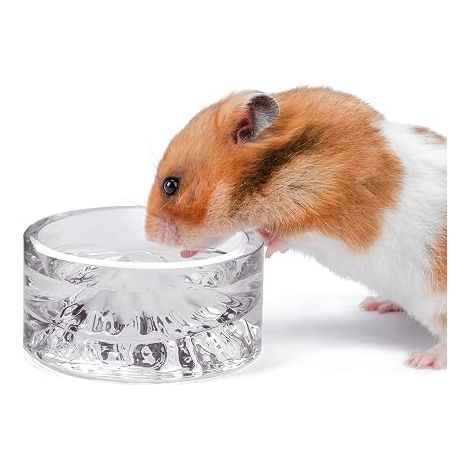 Bols d'alimentation et d'eau pour Hamsters - Bols à Boire en Verre de la série Mont Fuji pour Hamsters Nains syriens, gerbilles, (1/5)