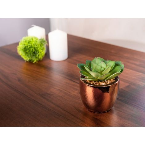 Sukkulente MagicHome S34042, 15 cm, Topf - Zement, golden, künstlich
