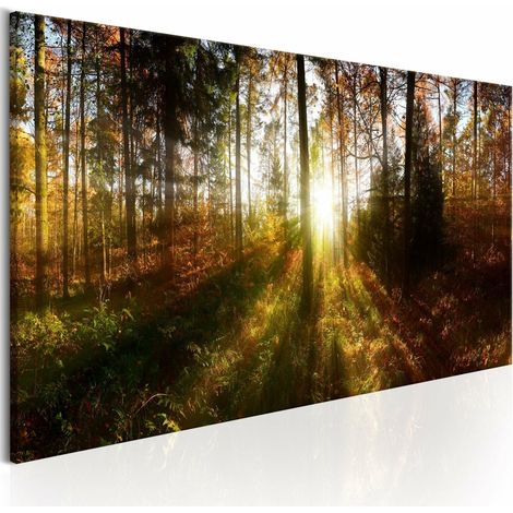 Tableau belle forêt - 135 x 45 cm (1/4)