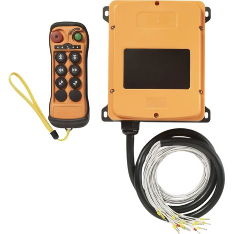 TRU COMPONENTS TC-11331316 Télécommande sans fil industrielle 6 x 2 canaux 110 - 460 V C256502 (1/5)
