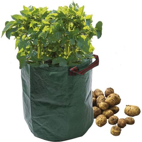 Plant Bag 38cm Potato Bag Green Outdoor UV Protection Garland (1/4)