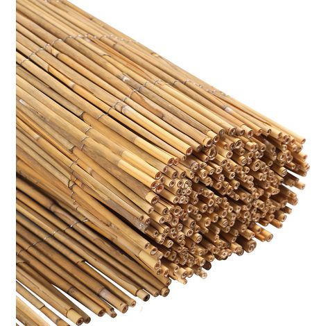 TolleTour Schilfrohrmatte 100×600 cm Sichtschutz aus Schilf, Wind- & Sonnenschutz für Garten & Terrasse