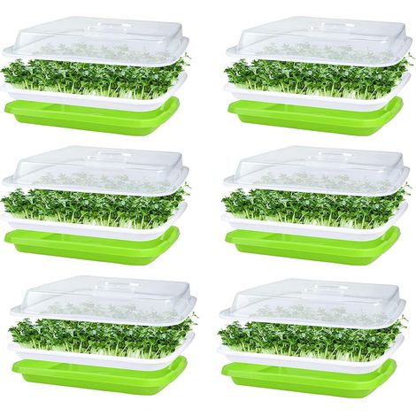 6 Pièces Plateaux De Germination De Graines Avec Couvercle, 32cm x 26cm Plateau De Germination De Grande Capacité Sain Sans BPA Propagateur Hydroponique (1/5)