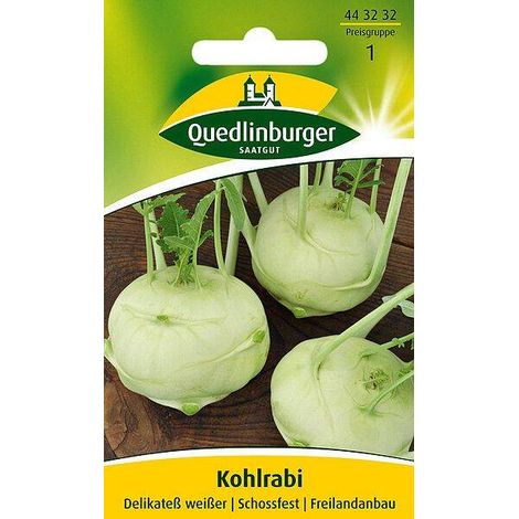 Quedlinburger Kohlrabi Delikateß weißer - Gemüsesamen (1/2)