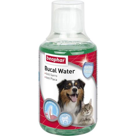 Eau buccale Beaphar pour chiens et chats - Bain de bouche pour chiens et chats - 250 ml