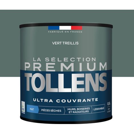Peinture Satin Ultra Couvrante Vert Treillis 0,5 L