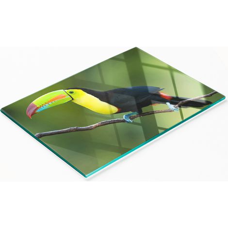 Tabla de cocina multifuncional decorativa de vidrio templado Toucan de 80x52 cm (1/5)