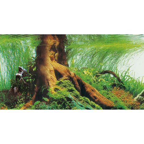 Hobby Fotorückwand für Aquarien Pearl River / Deep Delta - 120 x 50 cm (1/3)