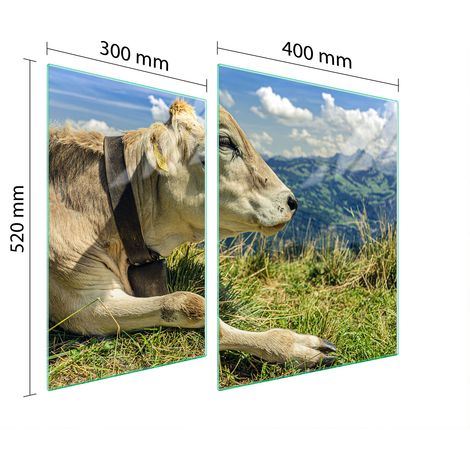 PLAQUE DE PROTECTION EN VERRE POUR POÊLE 70x52 VACHE (1/5)
