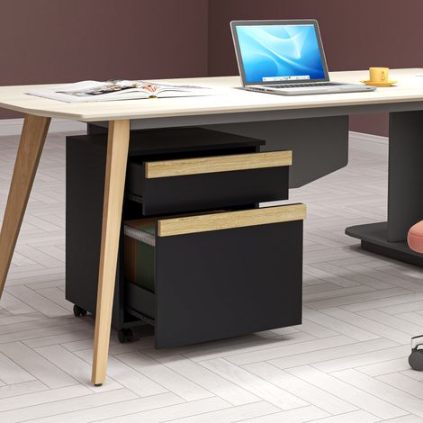 Büro-Aktenschrank auf Rollen mit 2 Schubladen, 48 x 40 x 59,5 cm, schwarz