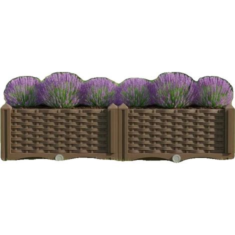 Jardinier surélevé, Polypropylène durable, Aspect élégant en rotin, 80 x 40 x 23 cm (1/2)