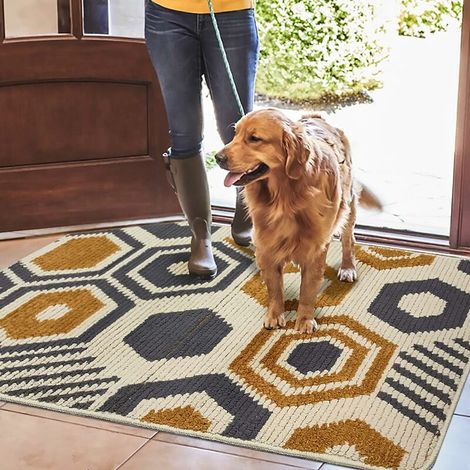 Non Slip Doormat, Doormat  Sweet  Machine washable  Absorbent and resistant  Carpet for indoor, outdoor, entrance, stairs, hallway, courtyard - 80 x 120 cm, beige (1/5)