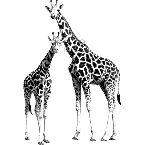 papier peint panoramique girafes noir et blanc  - ESTAhome (1/5)