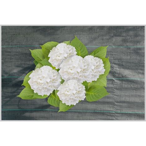 Toile de paillage anti-racines 0,5 x 10 m (1/3)