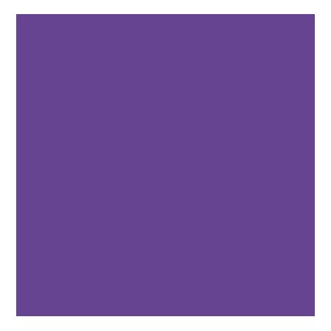 COLORANTE UNIVERS.VIOLETTO 80ML SET 5 PEZZI - NESPOLI