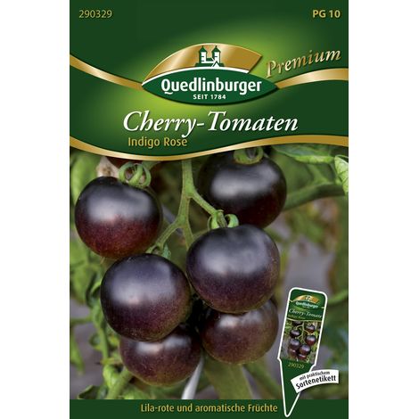 Quedlinburger Saatgut – Tomate cerise Indigo Rose – Graines de légumes, fruits noir-violet, hauteur 1,20 - 1,50 m (1/2)