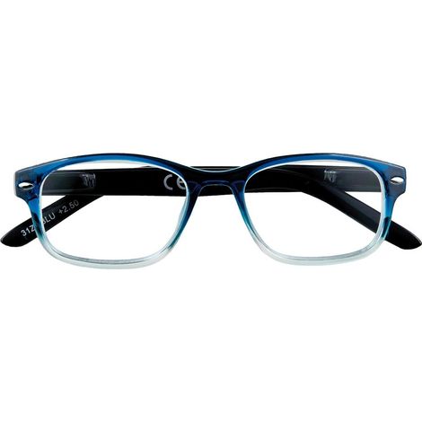 OCCHIALI PER LETTURA 'B1-BLU' + 2,50