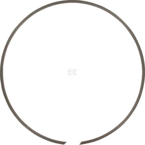 Anillo retenci贸n para carcasa IDC BR250 (1/2)