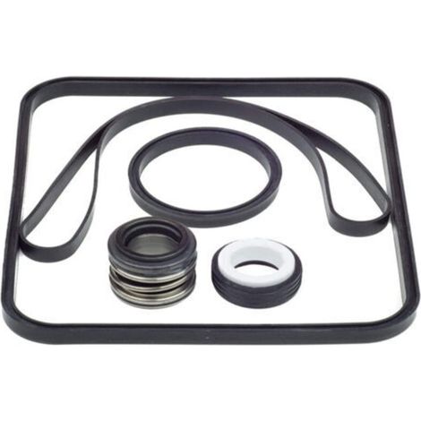 Kit de Joints d'Étanchéité en O-Ring pour Pompe Hayward SPX1600TRA – pour Corps et Diffuseur (1/5)